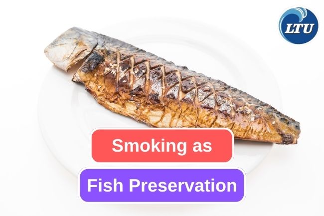 Here Are How To Do Smoking On Fish Preservation